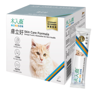 木入森 膚立好