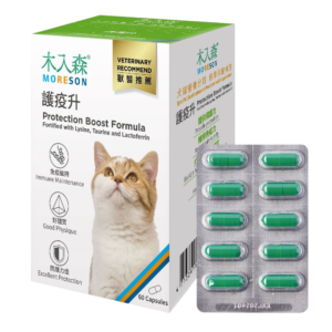 木入森 護疫升
