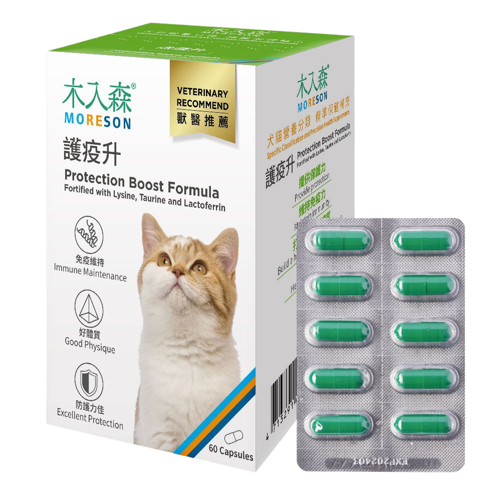 木入森 護疫升